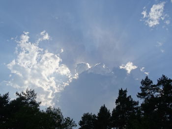 Low angle view of trees against blue sky