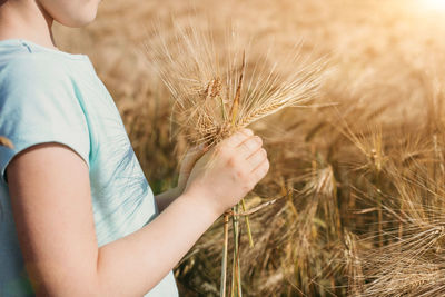 Midsection of woman holding wheat on land