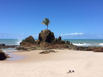 Scenic view of beach against clear blue sky