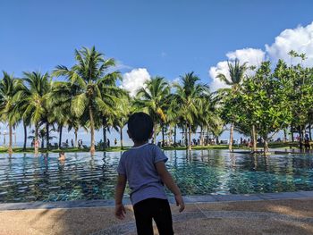 Rear view of woman with palm trees in swimming pool