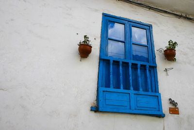 Low angle view of blue window amidst potted plants on white wall