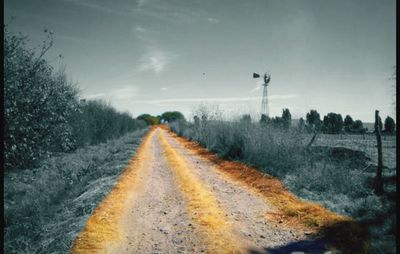 Road passing through field