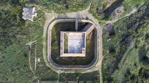 High angle view of trees