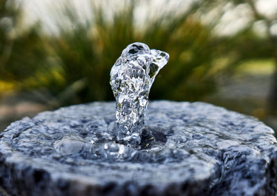 Close-up of water splashing on rock