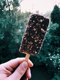 Cropped hand of man holding fresh chocolate ice cream with nuts against trees