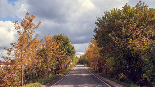 Road amidst trees against sky during autumn