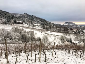 Panoramic view of landscape against sky