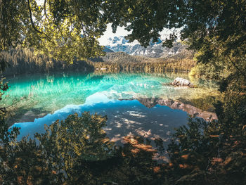 Scenic view of lake in forest