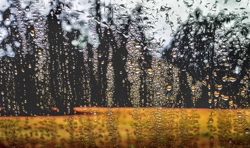 Close-up of water drops on window