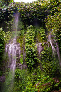 Waterfall in forest