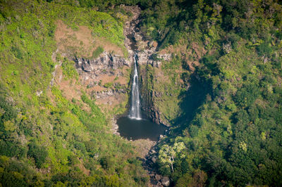 High angle view of waterfall amidst trees in forest