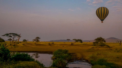 Hot air balloon flying over trees against sky