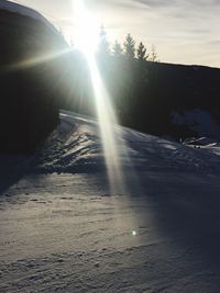 Sunlight falling on trees against sky