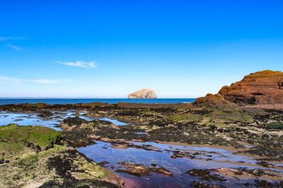 Scenic view of sea against blue sky