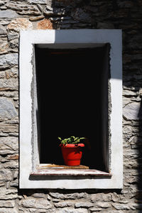 Potted plant on window sill of building