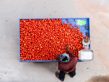 High angle view of person selling tomatoes