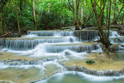 Scenic view of waterfall in forest