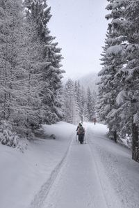 Rear view of person on snow covered road