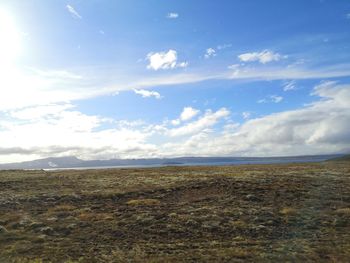 Scenic view of field against sky