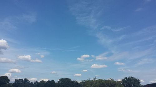 Low angle view of trees against sky