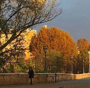 People walking on autumn trees in city