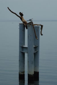 View of wooden post in water