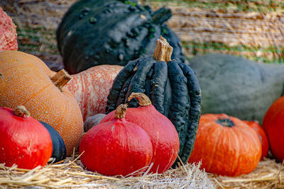 Close-up of pumpkins on field