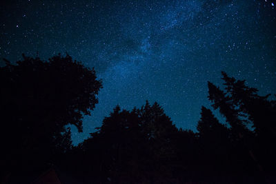 Low angle view of silhouette trees against star field at night