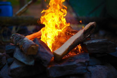 Close-up of fire on log