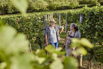 Smiling mature farmers discussing in vineyard on sunny day