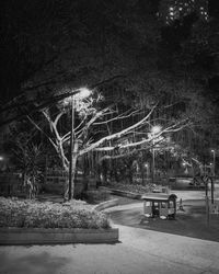 View of empty park bench at night