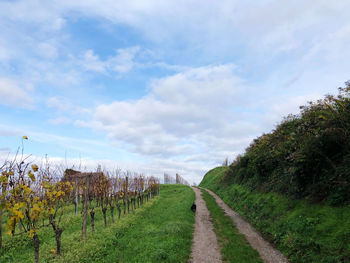 Road amidst plants on field against sky