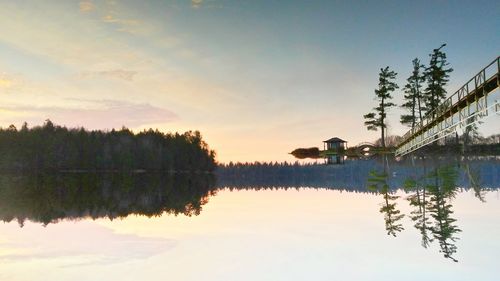 Reflection of trees in calm lake