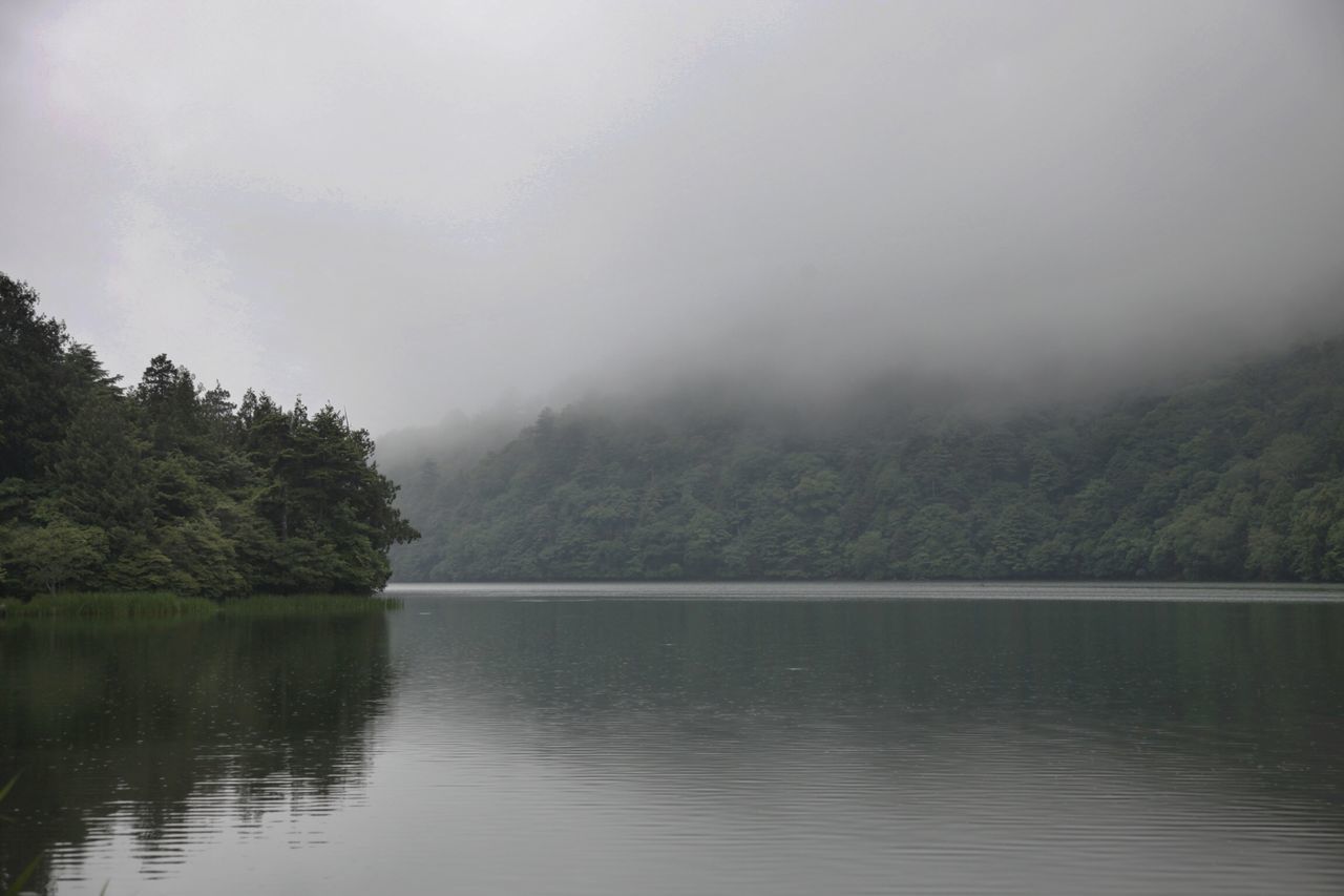 water, tranquil scene, lake, tranquility, tree, waterfront, scenics, beauty in nature, fog, nature, sky, reflection, river, idyllic, non-urban scene, foggy, calm, weather, outdoors, day