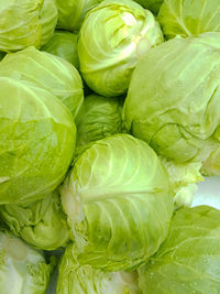 Full frame shot of cabbage