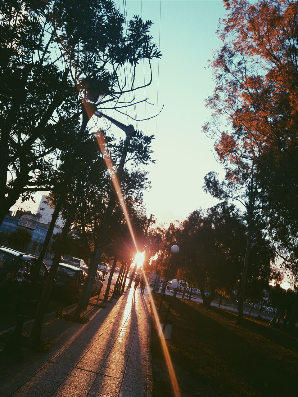 ROAD BY TREES AGAINST SKY DURING SUNSET