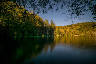 Scenic view of lake in forest against sky