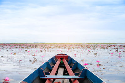 Deck chairs on shore against sky