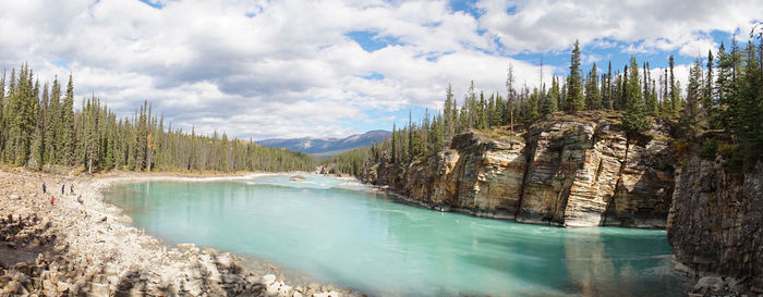 Panoramic view of pine trees by lake against sky