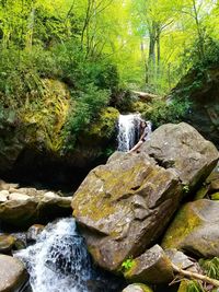 Stream flowing through rocks in forest