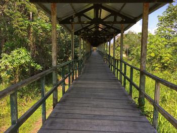 Footbridge amidst trees in forest