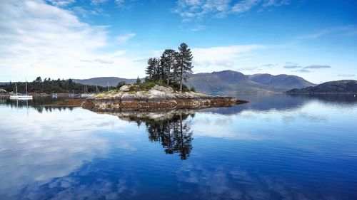 Reflection of tree in lake against sky