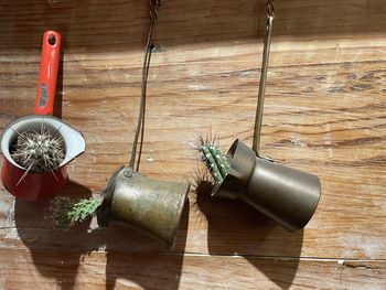 High angle view of potted plant on table