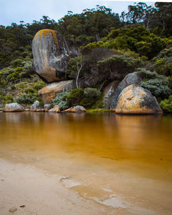 Scenic view of rock formation amidst trees against sky