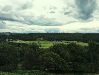 Scenic view of agricultural field against sky