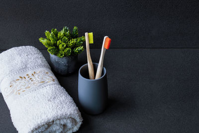 High angle view of potted plant on table against black background