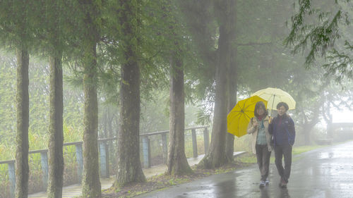 People walking on wet road in forest