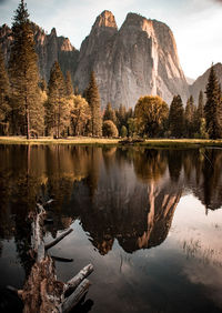 Reflection of trees in lake