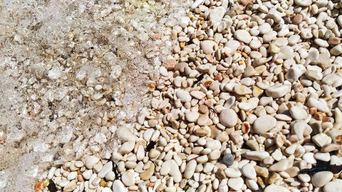 High angle view of white pebbles