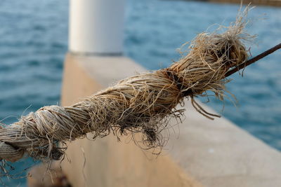Close-up of rope tied to fishing net